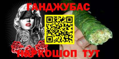 индика Новодвинск