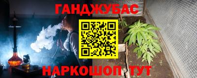 индика Новодвинск