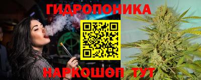 индика Новодвинск